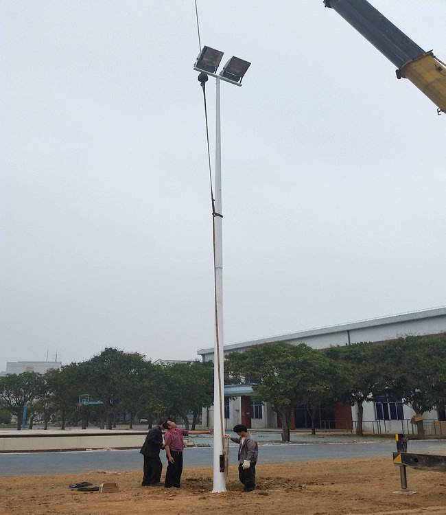 安龙县玉兰灯价格厂家生产10米12米