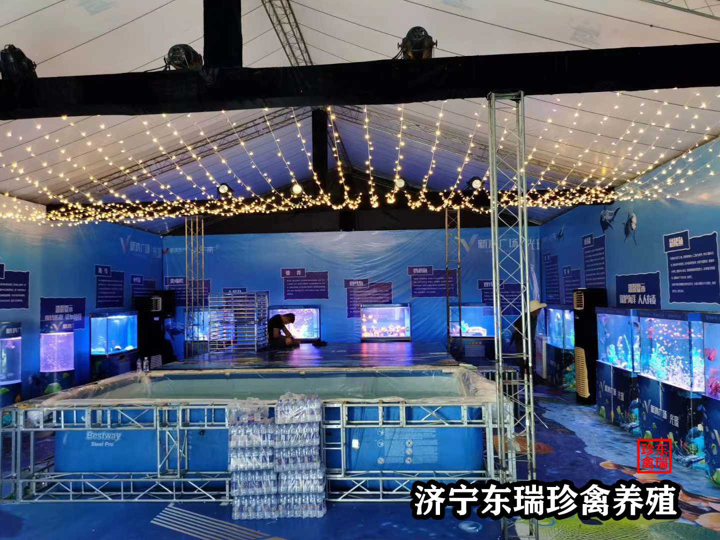 【首页】河南郑州出租羊驼|小型萌宠展览2022已更新（今日/价格）