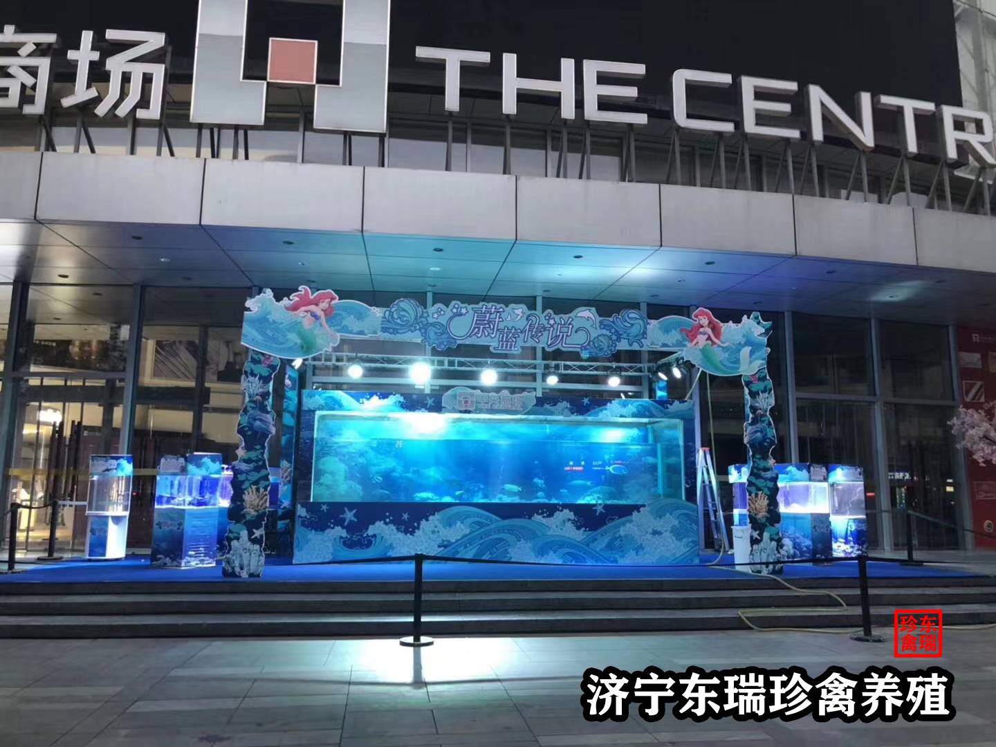 广东阳江海洋展出租多少钱|海洋宠物展2022已更新（今日/咨询）