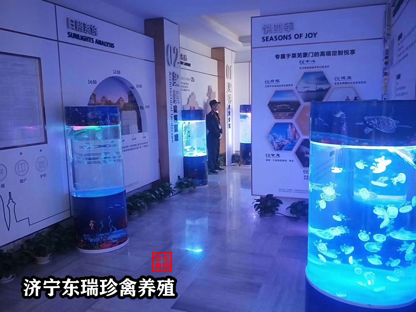 【首页】沈阳海洋动物展出租|海洋展览商家2022已更新（租赁/报价）