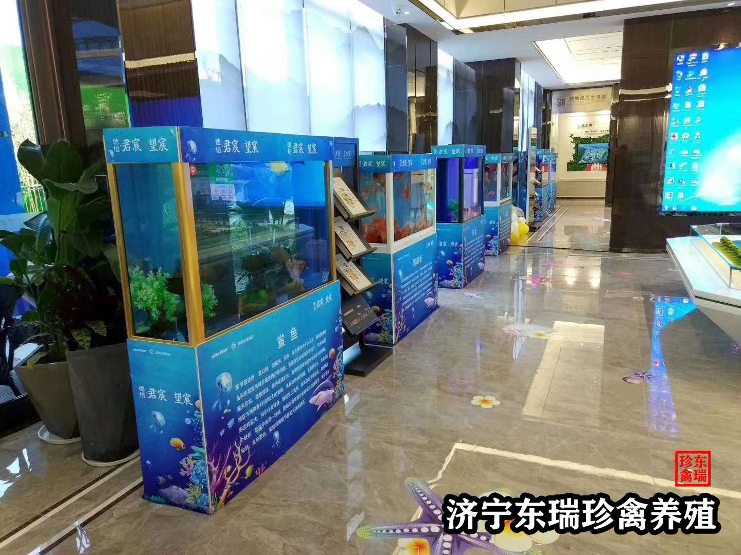【新闻】四川绵阳动物租赁|鱼缸展2022已更新（价格/优惠）