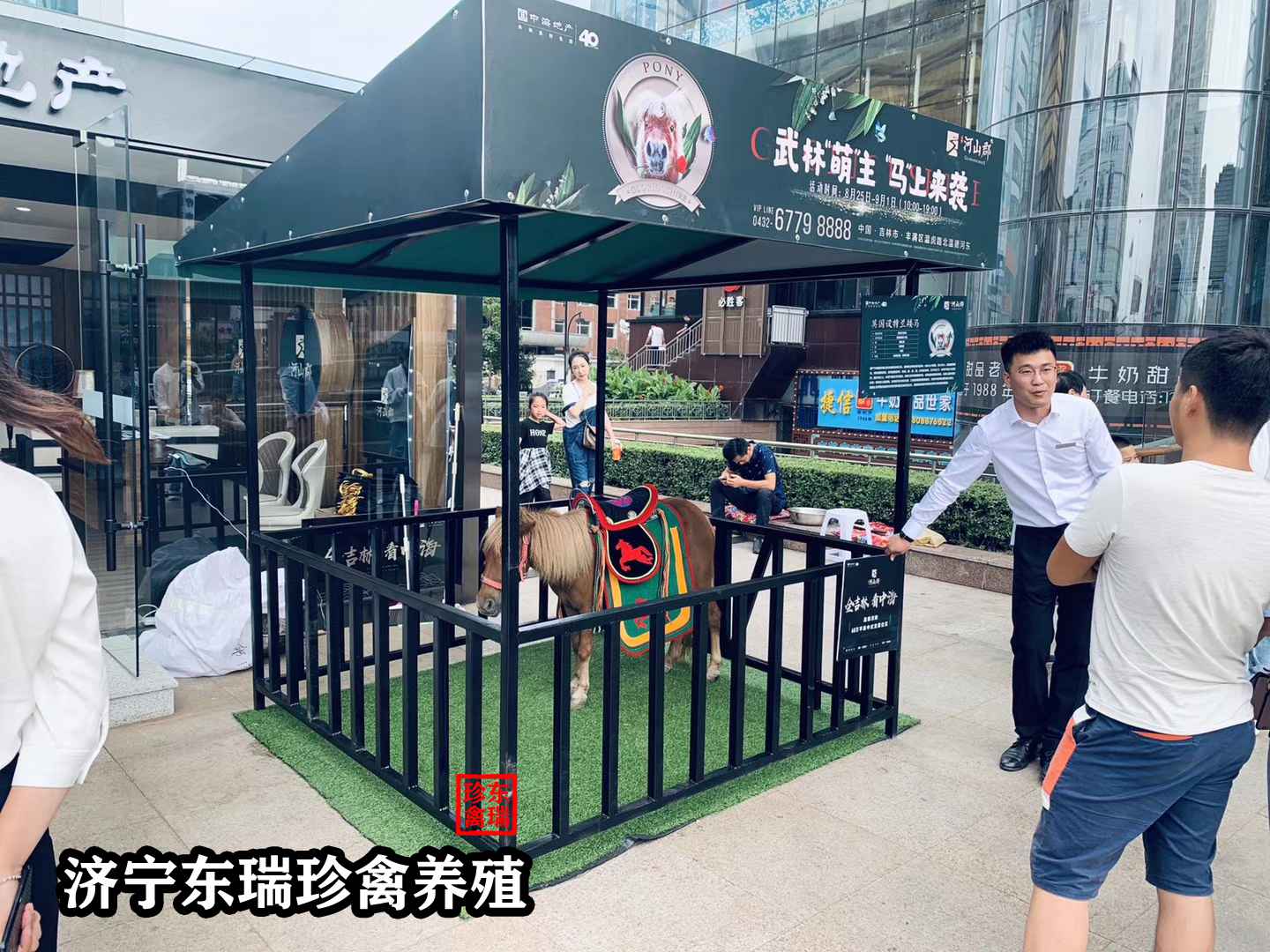 重庆两江新区萌宠动物展览出租/袋鼠出租2022已更新（今日/报价）