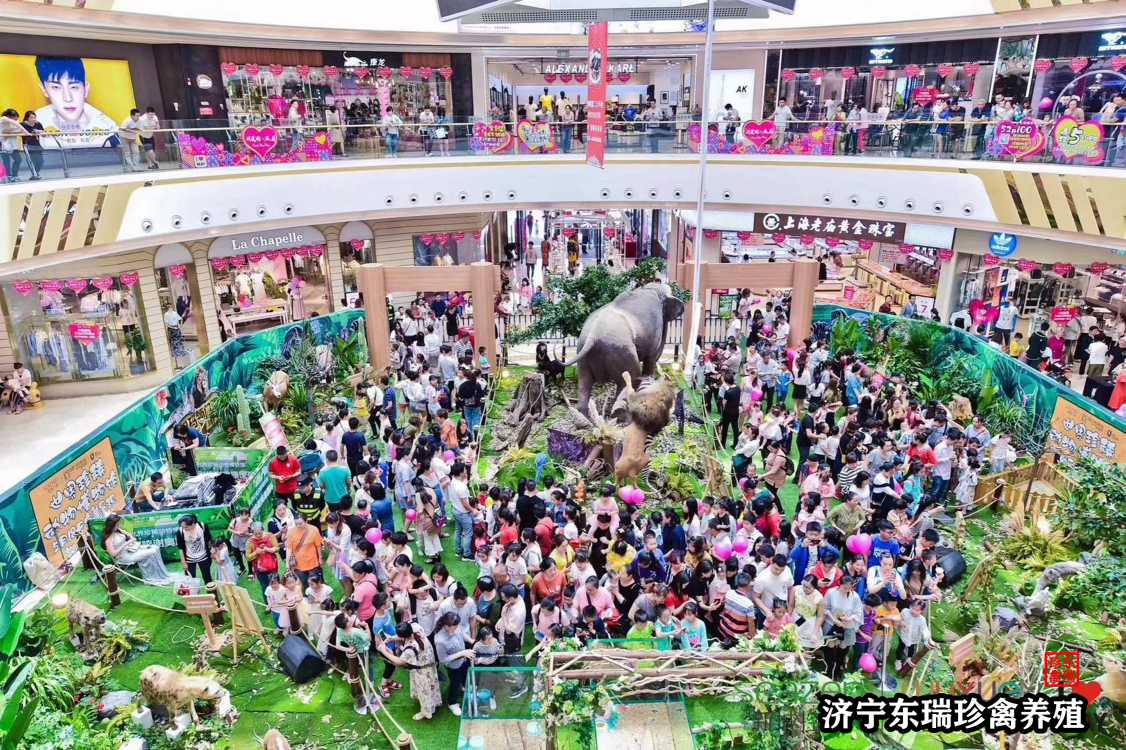 【新闻】陕西汉中萌宠动物租赁|猴子表演2022已更新（出租/价格）