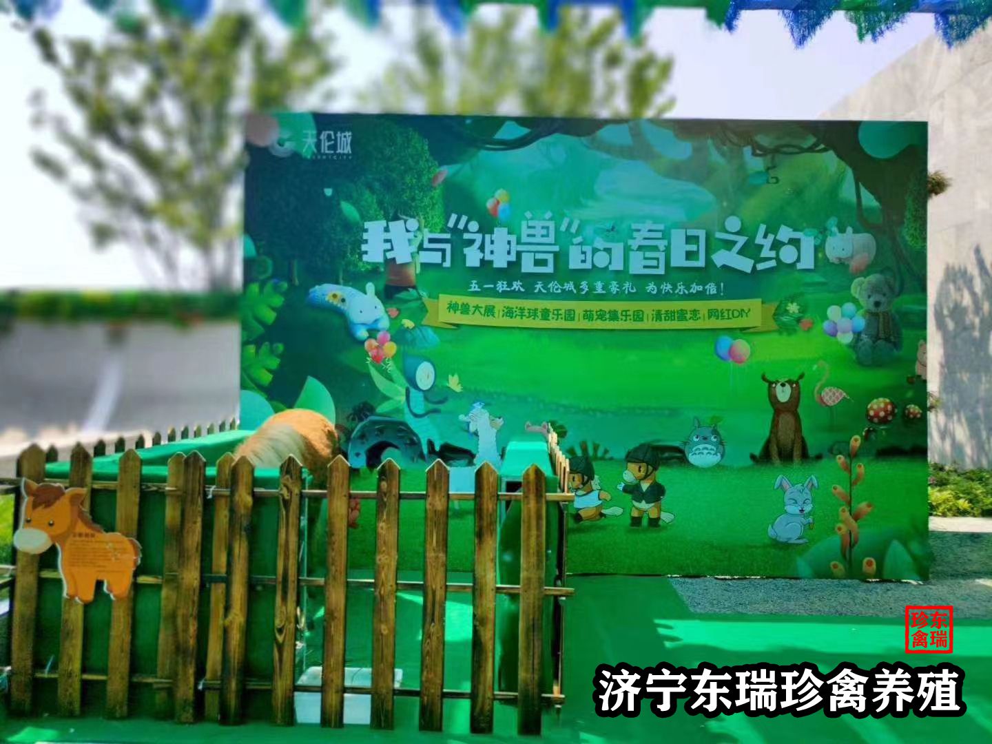河南三门峡萌宠动物租赁|动物表演出租2022已更新（价格/优惠）