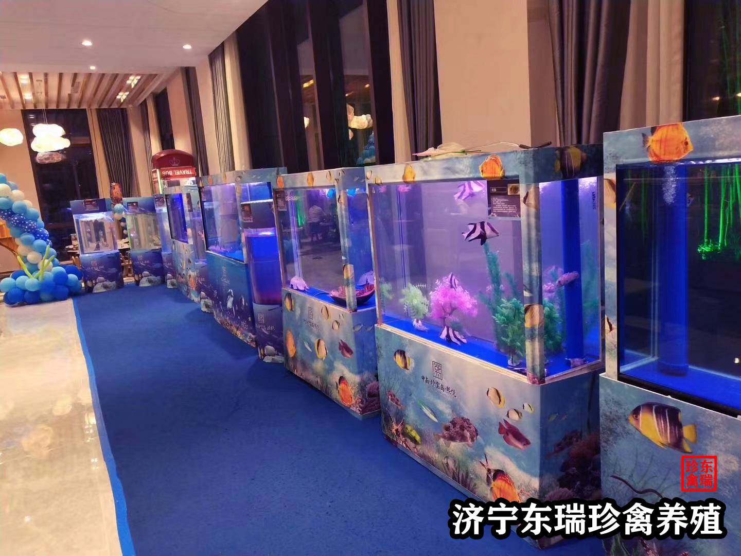 河南郑州萌宠动物展览出租|美人鱼表演出租租赁2022已更新（租赁/价格）