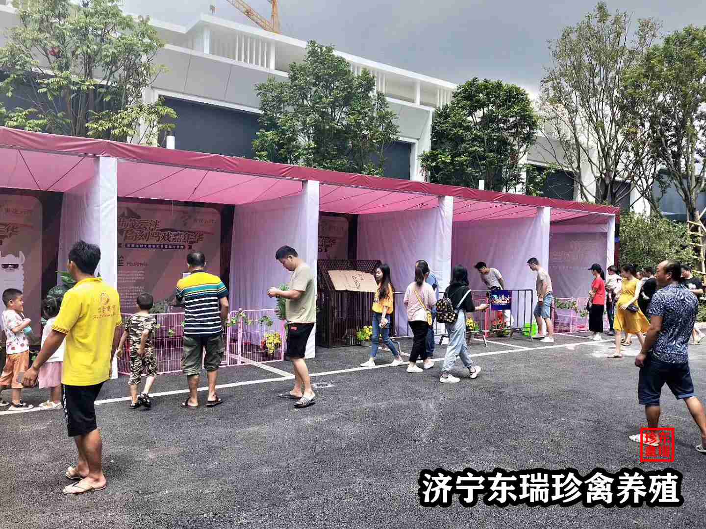 【新闻】鹤壁萌宠动物租赁|袋鼠租赁2022已更新（租赁/价格）