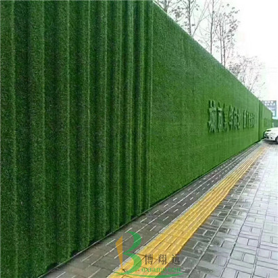 黄山草皮围墙2022