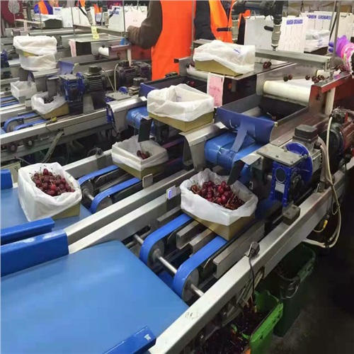 忻州正规出国劳务中铁农场种植采摘包装工月薪3万2022已更新（今日/推荐）