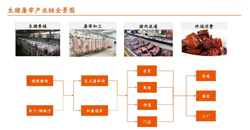 邢台猪肉分级系统供应