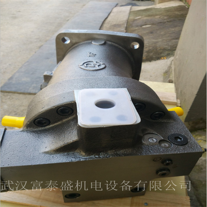 变量柱塞马达上海电气液压泵