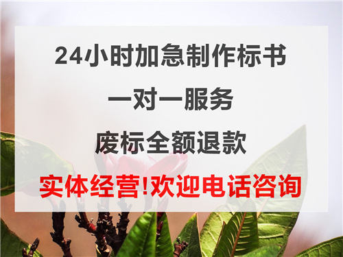 临夏县做标书怎么做多年经验2022已更新(今日/讯息)