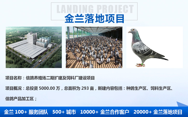 洛阳嵩县可以做项目建议书2023已更新（今日/商情）