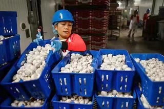 桂林出国劳务建筑工装修工工厂普月薪3万（今日/热点）