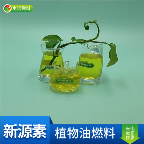 深圳环保新能源植物油燃料加盟公司
