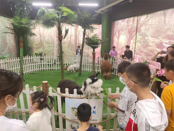 荆州市萌宠小鹿展览场地需求