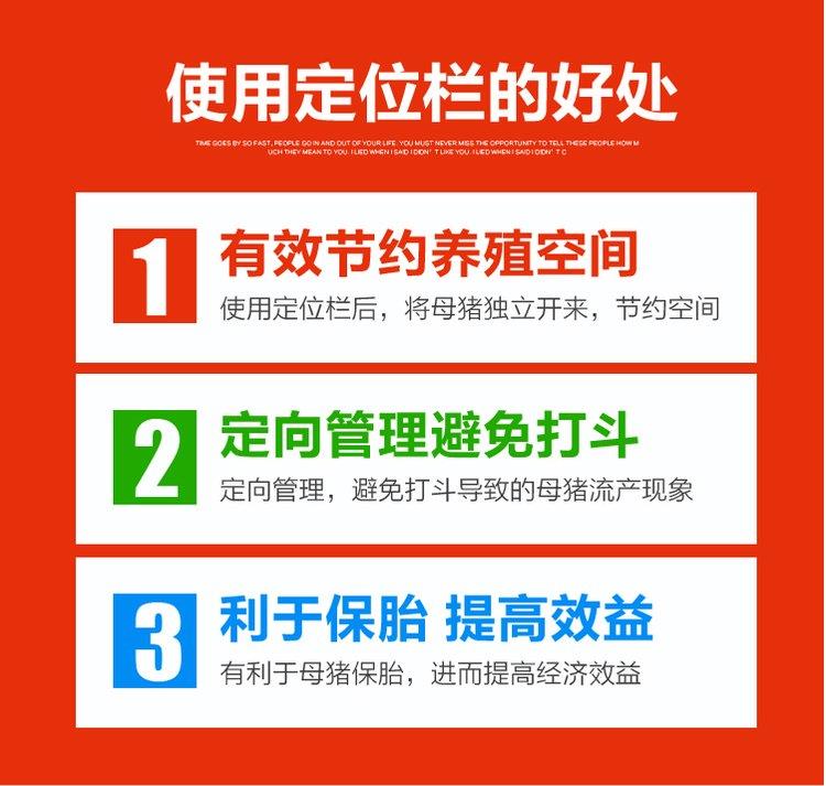 枣阳批发养猪场自动料线（正文：2022已更新）