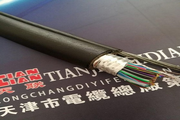 两江新区工业园区ZRC-DJYP2V22-4X2X2.5电缆批发厂家