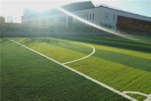 吐鲁番五人制足球场假草坪多少钱一方