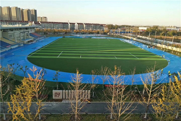 杭州免充砂足球场人工草坪公司